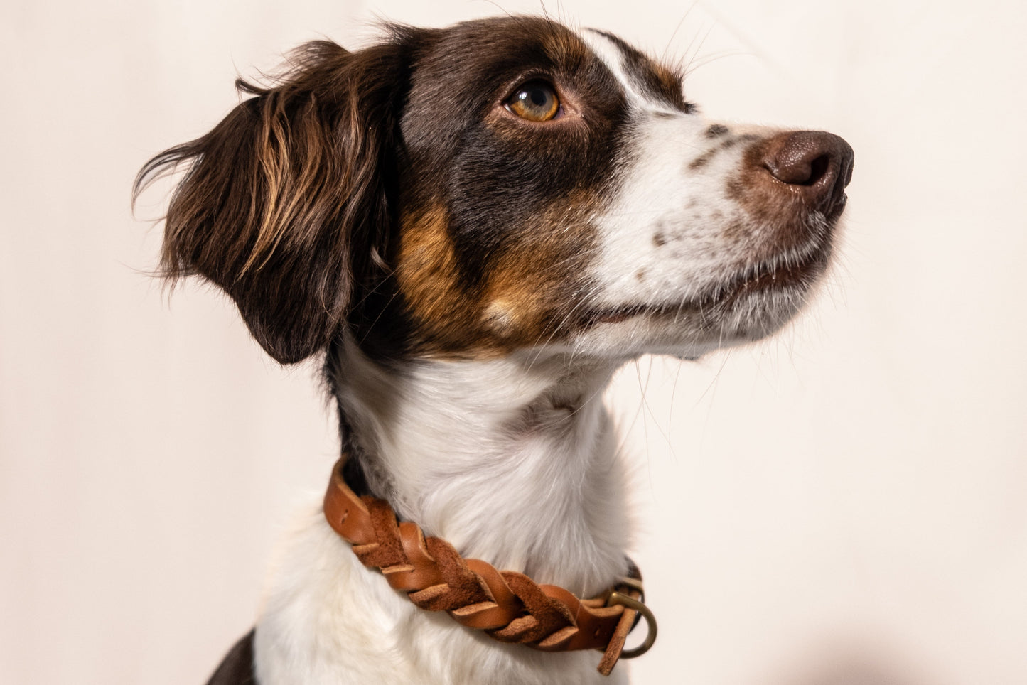 Braided Leather Collar